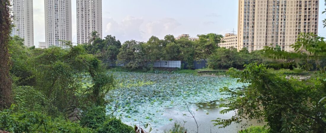 Kavesar Lake: Thane’s Hidden Urban Wilderness